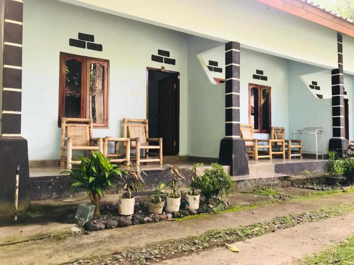 Sawe * Kuta (Lombok)