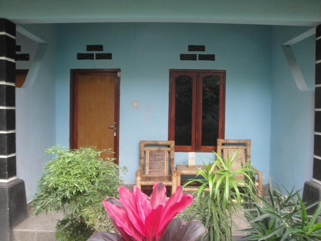 Sawe Kuta (Lombok)