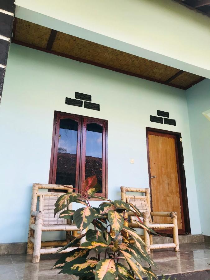 Sawe * Kuta (Lombok)